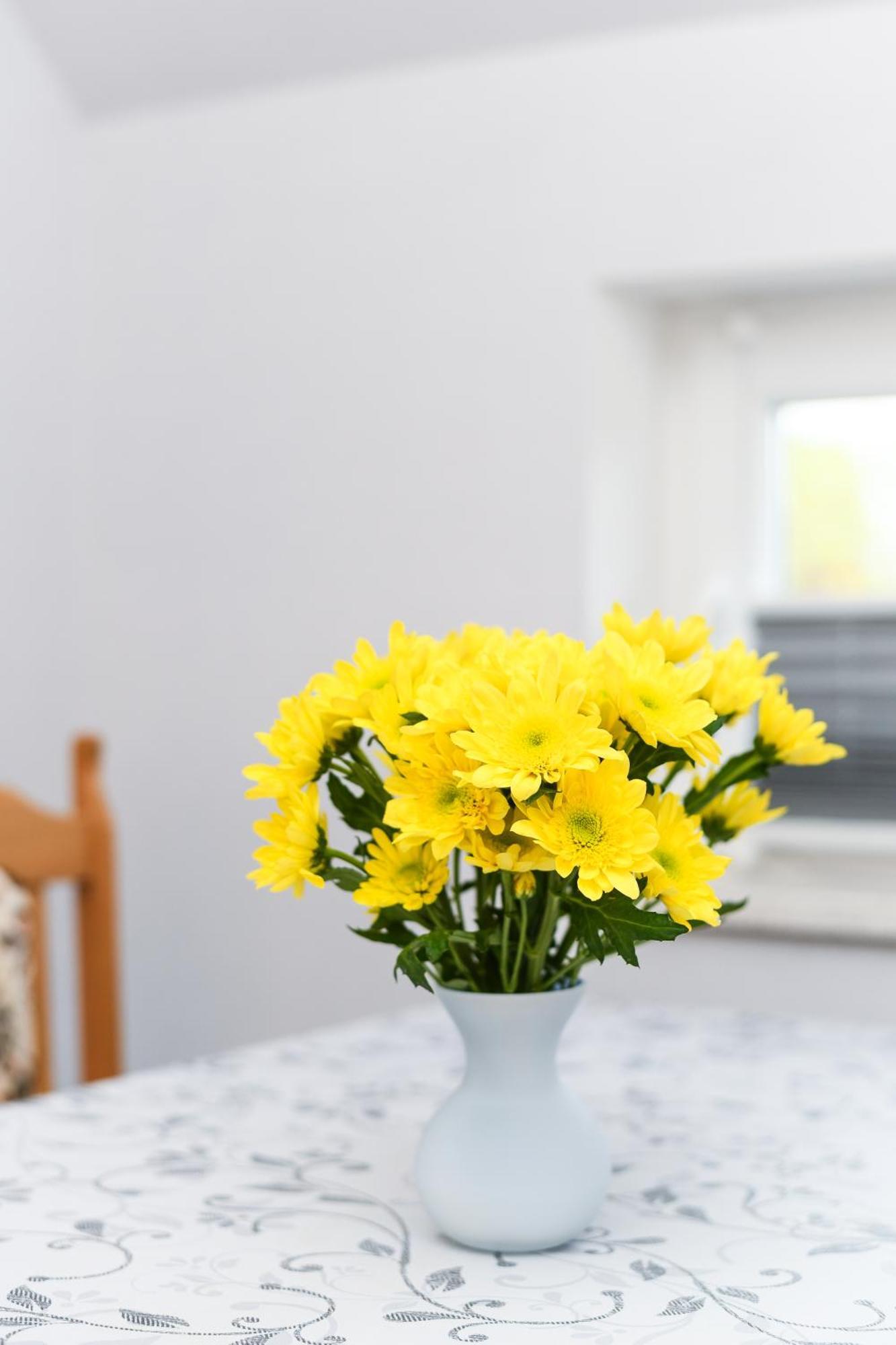 Ferienwohnung Nordmoor Blomberg  Zewnętrze zdjęcie